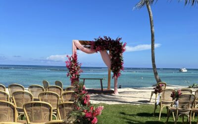 Celebra tu Boda en el Paraíso Caribeño de República Dominicana